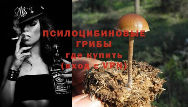 прущие крисы Горняк